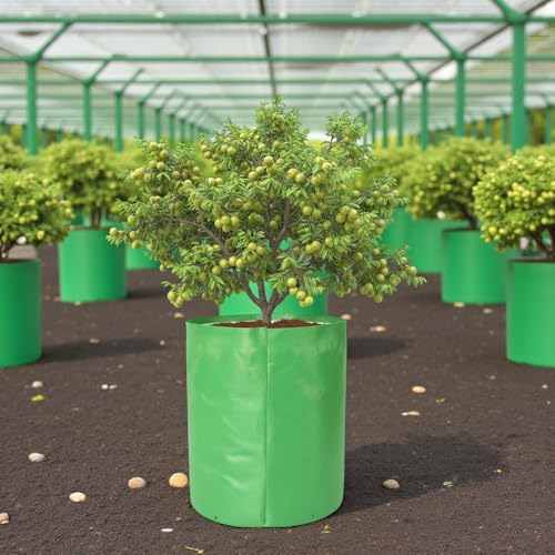Image of HDPE UV Treated 340 GSM Plant Growing Bags for Terrace Gardening Easy to Use 15 x 18 Inch - Pack of 2