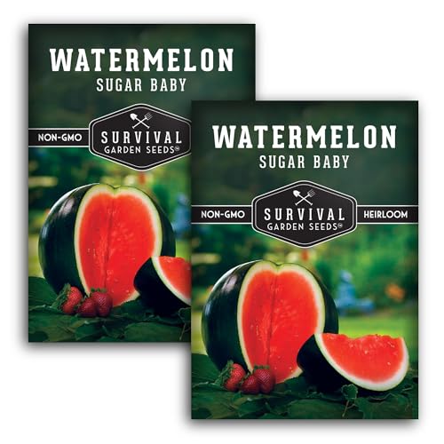 Sugar Baby Watermelon Seeds - Grow Little Round Icebox Watermelons at Home - Non-GMO Heirloom Variety for Planting - Survival Garden Seeds (2 Pack)