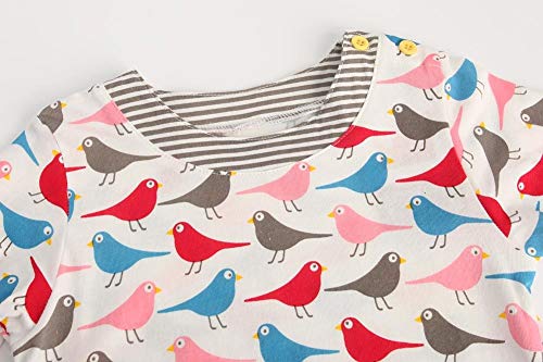 Frogwill Little Girls Long Sleeve Birdie Jersey Dresses Tunics 4T