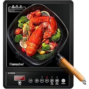 AMZCHEF Single Induction Hob, Portable Induction Hob, 10 Temperature Settings and Power levels from 300W to 2000W, Black Frosted Glass Panel,Sensitive Press Control, 3-hour Timer