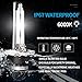 Xenon HID Headlight Ballast Control Unit with Igniter & D2S Bulb - Compatible with Nissan Altima, 350Z, Maxima, Murano, Rogue, Infiniti G35, G37, FX35- Replaces 28474-8991A 28474-89904 NZMNS111LAN