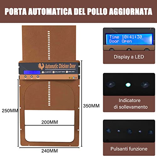 Porta automatica per polli, porta per polli a