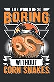  Kornnatter Tagesplaner: Kornnatter Geschenk Corn Snake / Kalender 2023 & 2024 / Wochenplaner Tagesplaner Planer / Planungsbuch To-Do-Liste / 6x9 Zoll / 100 ausfüllbare Seiten