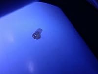 Review Image by Samantha Gutierrez Samantha Gutierrez