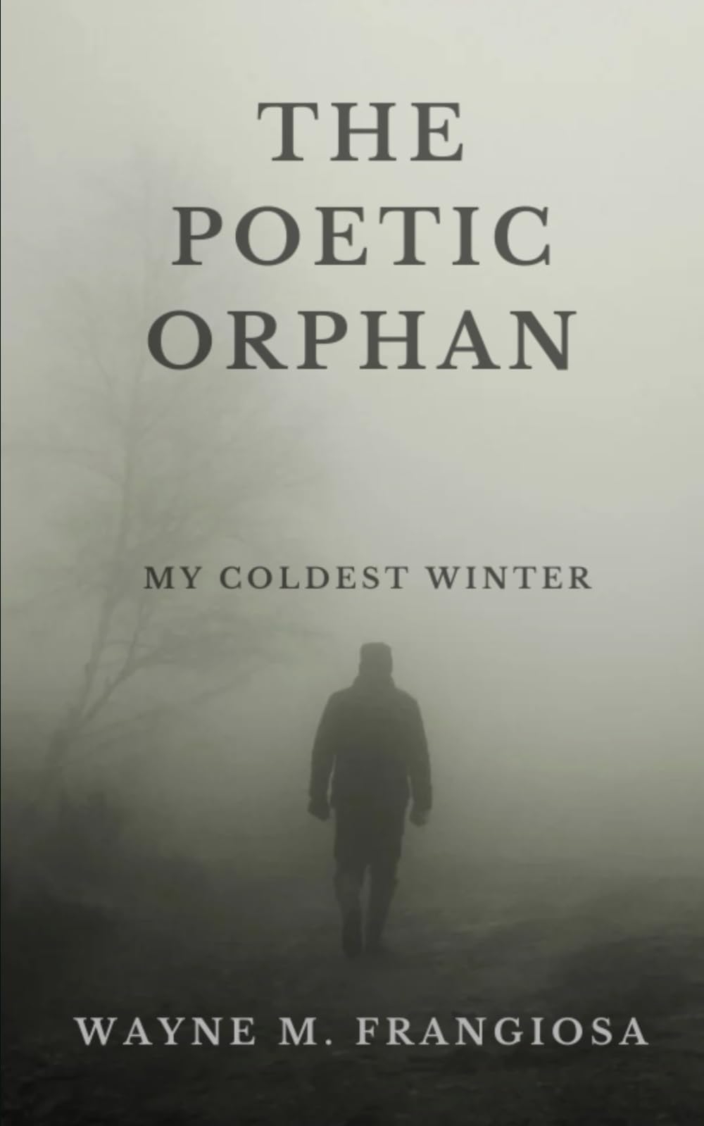 The Poetic Orphan: My Coldest Winter