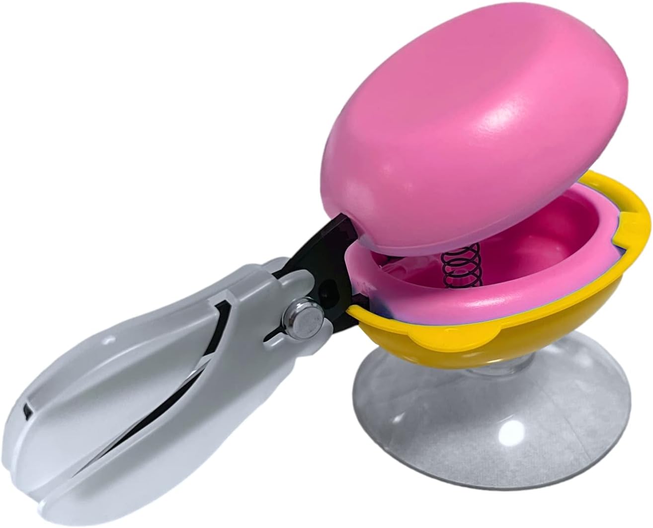 楽天市場】ハサミポーセリン セットの通販 Hasami Porcelain ハサミ