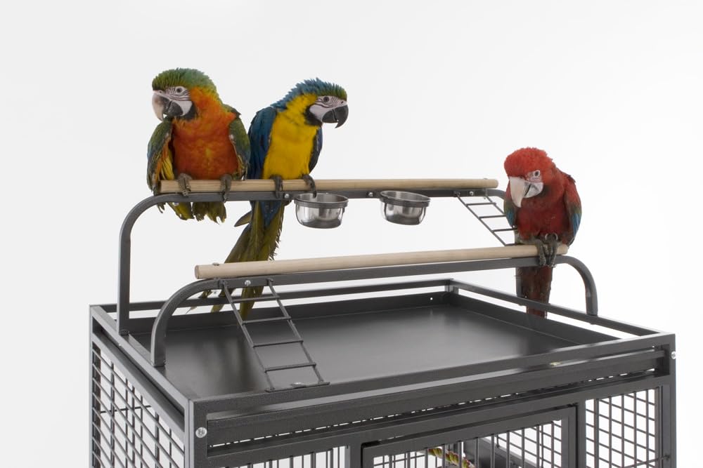 Kompletter Papageienkäfig | Großer Vogelkäfig Ideal für mittelgroße und große Papageien | Maße 91 x 71 x 171,5 cm | Gewicht 61 kg