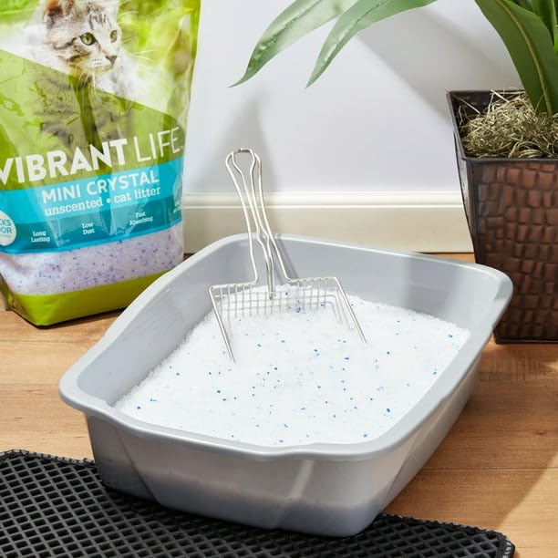 Mini Crystal Unscented Cat Litter, 8 Lb - Cat Litter is Made of Special Mini-Crystals That Produce Little Dust Compared to Regular Brands, Gentle On Paws