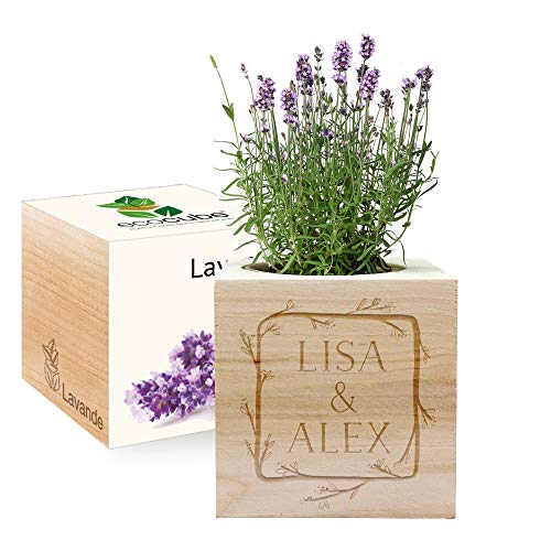 Amikado - Ecocube gravé cadre fleur (Lavande) - Plantes dans Un Cube en Bois - 100% Eco Friendly - idée Cadeau Durable
