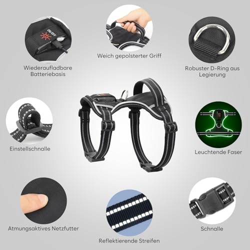 Leuchtendes Hundegeschirr, Colaseeme Light Hundeweste mit reflektierenden Streifen und verstellbarem Geschirr, LED-Hundelicht wiederaufladbar für kleine, mittelgroße und große Hunde (Grün,XS)