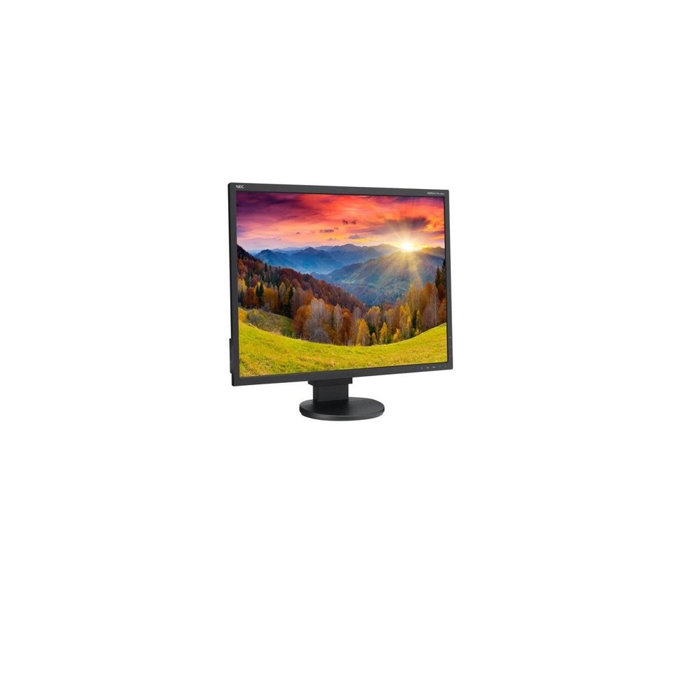NEC MultiSync EA244WMI-BK 24-Inch Screen LED-Lit Monitor : Amazon