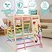 EDOSTORY 7 in 1 Pikler Indoor Playground Jungle Gym Playset, Wooden Montessori Climber with Slide, Rock Climb Wall, Monkey Bars, Rope Ladder, Climbing Rope and Swing for Kids（Rainbow）