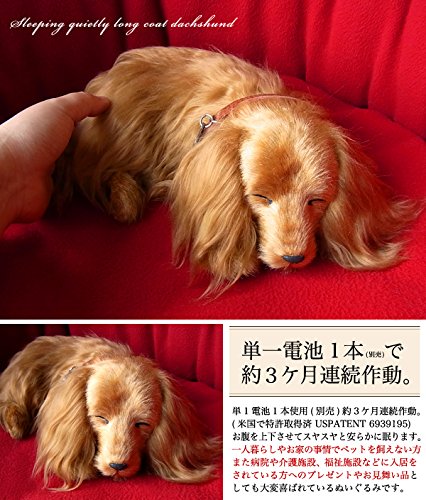 Amazon.co.jp: ニニアンドキノ パーフェクトペット (小サイズ
