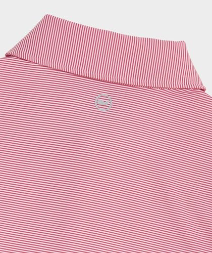 vineyard vines Boys Anegada Stripe Sankaty Polo4