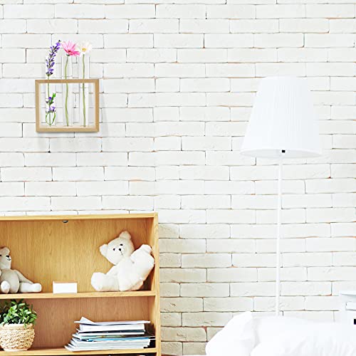 Belle Vous Muur Hang Glazen Testbuis Planten Vaas – 4 Bloemen Buisjes (1 Reserve) met Houten Standaard – Tafeltop… - Image 6