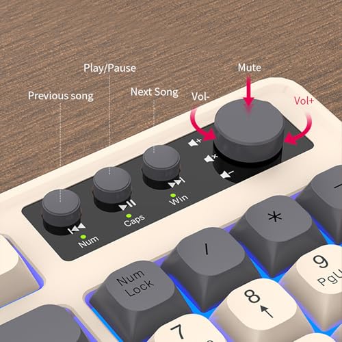 Clavier ergonomique confortable pour le télétravail avec souris ARGB multicolore