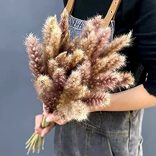 Pampasgras gedroogde decoratie, 30 stuksnatuurlijk gedroogd Phragmites planten droogbloemen decoratie bloemen vaas voor… - Afbeelding 5