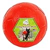   Jolly-Pets-Jolly-Soccer-Ball-Dog-Toy-8inAll-Breed-Sizes