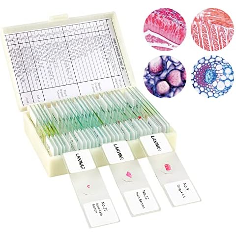 30 Microscope Slides with Specimens for Kids, Prepared Microscope Slides for Kids Microbiology, Glass Slides for Microscope, Biology Gifts for Adults Kids Cover