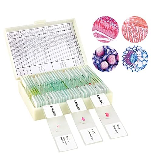 30 Muestras Microscopio Preparadas para Niños, Portaobjetos Preparados Microscopio, Especímenes de Plantas Animales Humana Cellular Bacterias, Biología Educación