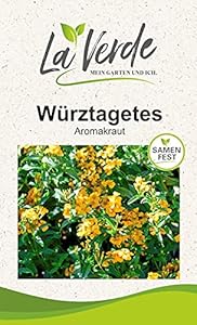 La Verde Würztagetes Kräutersamen