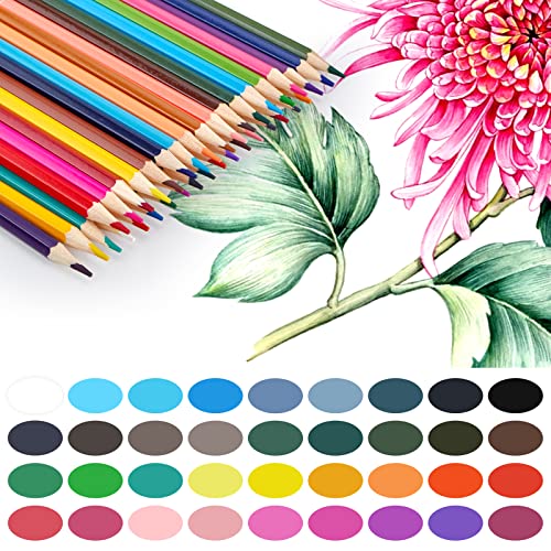 Ezwork EZ-COLORED PENCIL-3 36 Pack Wooden Colored Pencils thumb #1