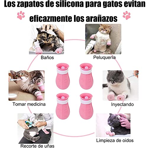 Mejores review On-line Accesorios para gatos Top cinco. 12 Imagen adicional