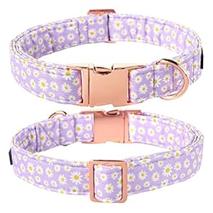 Lionet Paws Dog Collar, Comfortable Adjustable Cute Collar with Metal Buckle for Male Female Dogs, Purple Daisy, Small, Neck 10-16 inches Lionet Paws Dog Collar Comfortable Adjustable Cute Collar with Metal Buckle for Male Female Dogs Purple Daisy Small Neck 10 16 inches