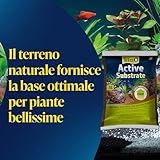 Tetra B00MBKBOGQ lato 3