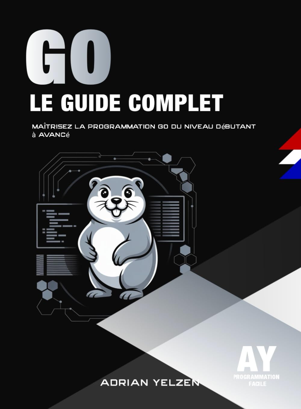 Go Le Guide Complet: Maîtrisez La Programmation Go Du Niveau Débutant A Avancé