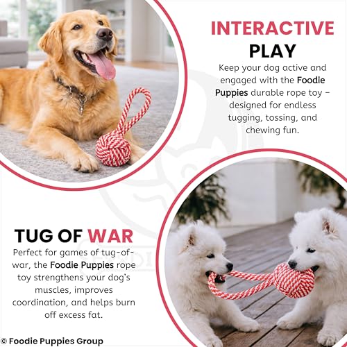 Image of Foodie Puppies Durable Cotton Rope Chew Toy for Dogs | Chewing, Fetching, Playing, Teething & Training for Small to Medium Dogs & Puppies (Color May Vary)