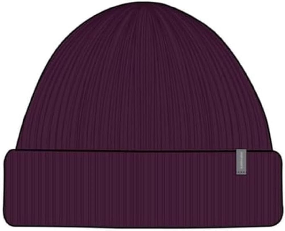 Icebreaker - Rixdorf, Berretto Beanie Unisex - Adulto