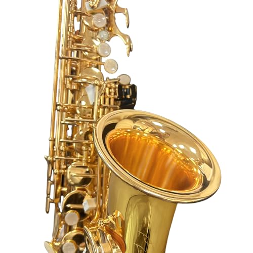 Image of Beginner Alto Saxophone, Eb Golden Lacquer- Complete Starter Kit with Case & 10 Reeds, for Adults & Students, Easy to Play for School Band & Practice