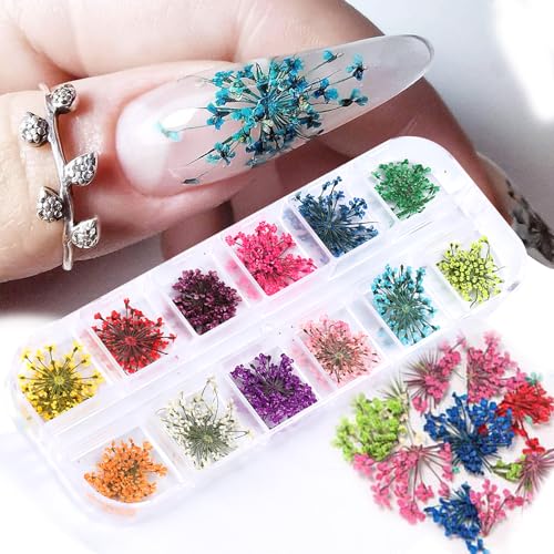 Dzpguoniz DZPGUON-128 12 Colors 3D Dried Flowers Nail Stickers For Nail Art Colorful Dry Flower For Resin Crafts Mini Small Natural Floral Dried Nails Design Diy Manicure Accessories Nails Design cover
