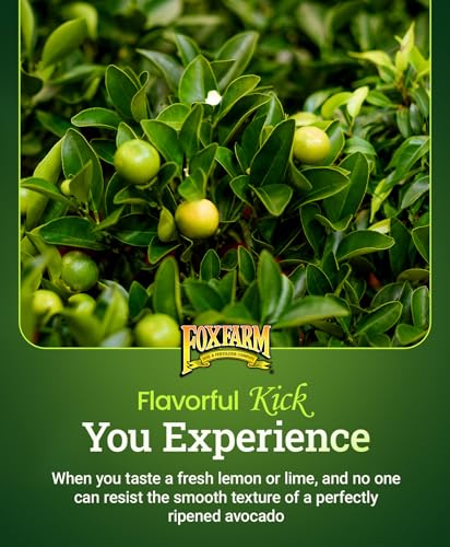 Fertilizante FoxFarm Happy Frog para cítricos y aguacate 4 lb miniatura 3
