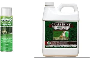 Seymour Grass and Shrub Renew Spray Paint