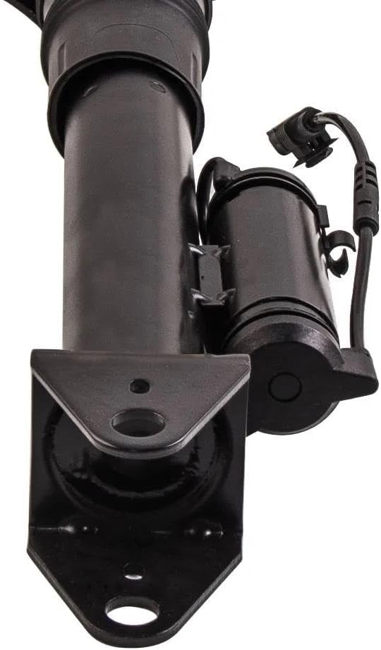 シム・シメール「クラウン・ジュエル」ジークレー 直筆サイン シム・シメール「クラウン・ジュエル」ジークレー 直筆サイン