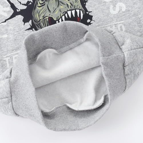 Image of Popshion Toddler Boys Sweatshirts Dinosaur Long Sleeve Pullover Crewneck Shirts Cartoon Tee Sport Tops for Kids 1-8T