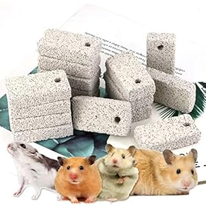 Newbested 20 Pcs Small Animal Pet L...
