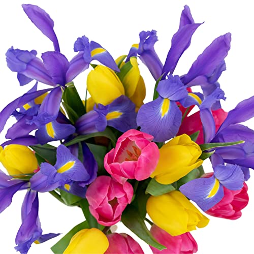 stargazer barn besties bouquet with fresh tulips amp blue iris purple pink yellow fresh flowers 15 count
