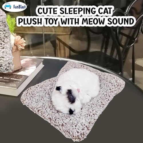 Image of FunBlast Cute Sleeping Cat Plush Toy with Meow Sound, Gift for Kids, Toy Accessories for Car Dashboard (White)