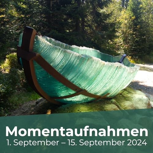 『Momentaufnahmen, 1. September – 15. September 2024』のカバーアート