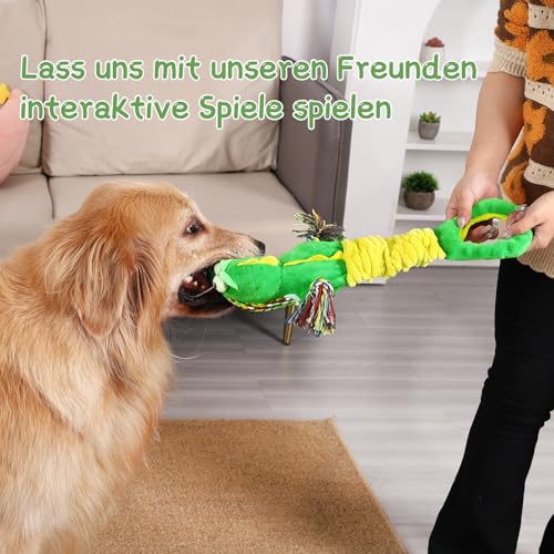 WinTour Hundespielzeug, Süßes Quietschendes Hundespielzeug mit Crinkle-Papier, Tauziehen, um sie zu Beschäftigen, Gefüllte Hundekauspielzeug für Kleine, Mittlere, Große Hunde