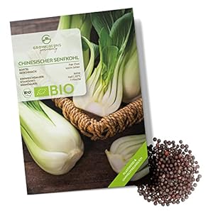 Growgreens Bio Pak Choi Senfkohl Samen (150 Korn)