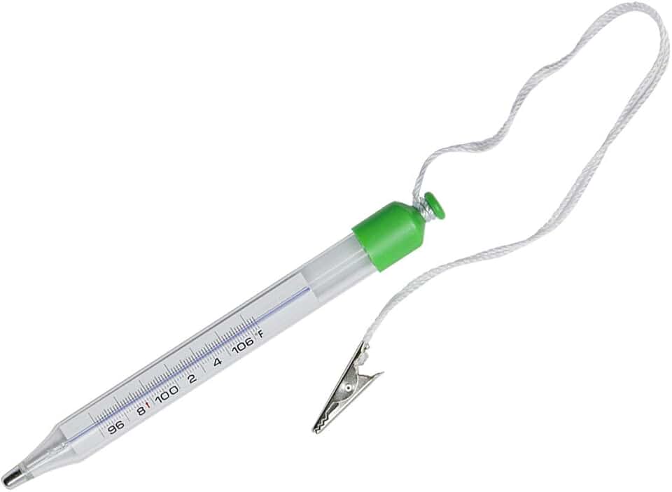 equine thermometer