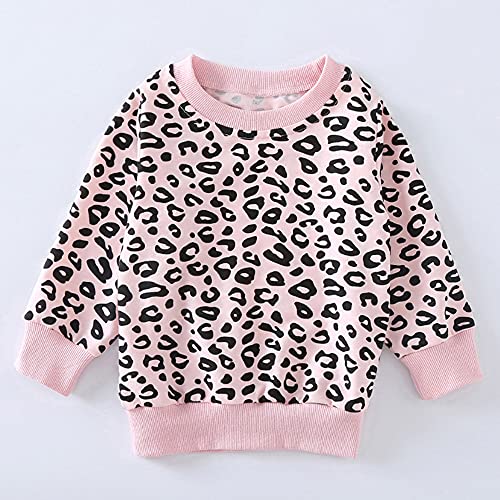 Toddler Baby Girls Leopard Print Clothes Set Long Sleeve T-Shirt Tops and Pants 2pcs Outfits2