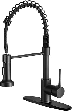Kitchen Faucet with Pull Down Sprayer, Stainless Steel, Black