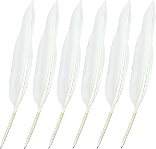 Leikedun White Goose Feather Quill Pens Black Ink Ball Point Feather Pen Feather Signing Pen Retro Ballpoint Pen for School Office Business Wedding Birthday Party Favor (6Pcs)