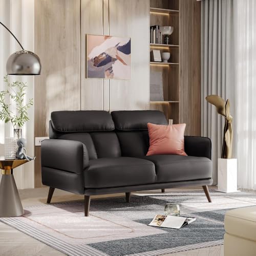 Image of Wakefit 2 Seater Sofa | 5 Year Warranty | Black Leatherette, Neem Wood, Modern Style, Living Room