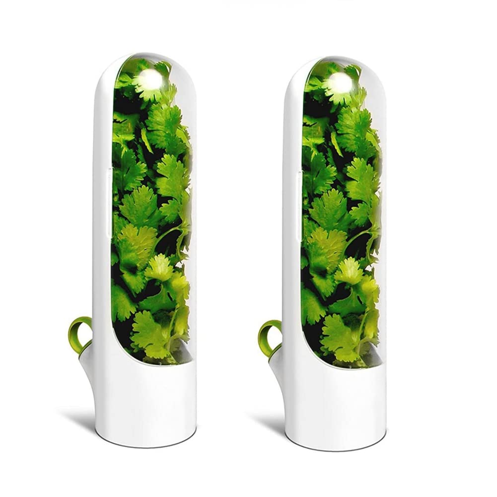 Xnuiasqe 2PCS -Keeping Box Herb Crisper Cup Type Food Storage Container Vegetable Preservation for Dill Coriander
